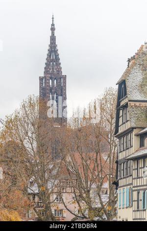 Die große Kathedrale notre-Dame aus Little France in Straßburg zur Weihnachtszeit. Bas-Rhin, Elsass, Grand Est, Frankreich, Europa. Stockfoto