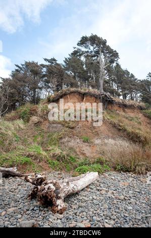 Erosion am Hang. Stockfoto