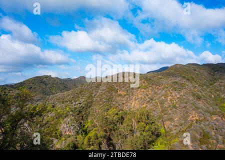 Blick auf die Polo-Felder, die Berge, den Küstenstrand und die Eukalyptusbäume im will Rogers State Historic Park in den Pacific Palisades Stockfoto