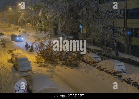 Durch starke Schneelast über den Baum gebogen, München Stockfoto