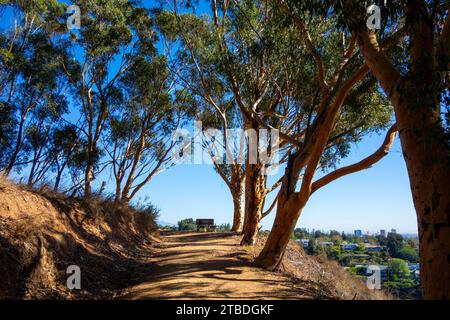 Blick auf die Polo-Felder, die Berge, den Küstenstrand und die Eukalyptusbäume im will Rogers State Historic Park in den Pacific Palisades Stockfoto