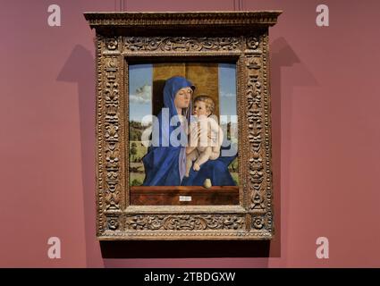 Bergamo, Italien. Dezember 2023. In der permanenten Sammlung der Carrara-Akademie fällt das Werk „Madonna mit Kind“ (Madonna di Alzano) von Giovanni Bellini aus dem Jahr 1485-87 hervor. Quelle: Unabhängige Fotoagentur/Alamy Live News Stockfoto