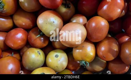Nahaufnahme des Texturhintergrunds mit langer Pflaumentomate. Frische kleine rote und gelbe Kirschtomaten Stockfoto