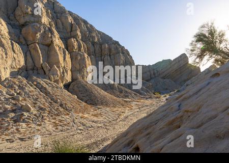 Box Canyon Wash, ein trockener, staubiger, leerer Canyon in Südkalifornien. Fotos, die im Morgenlicht aufgenommen wurden Stockfoto