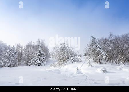 Espace Somport, Les Forges d'Abel, Hautes-Pyrénées, Midi-Pyrénées, Frankreich Stockfoto