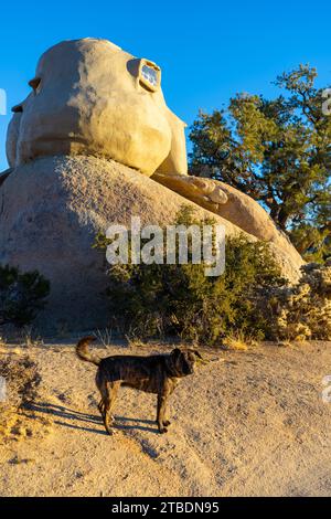 Das Cosmic Castle in Garth's Boulder Garden, aufgenommen im Morgenlicht in der Mojave-Wüste. Stockfoto