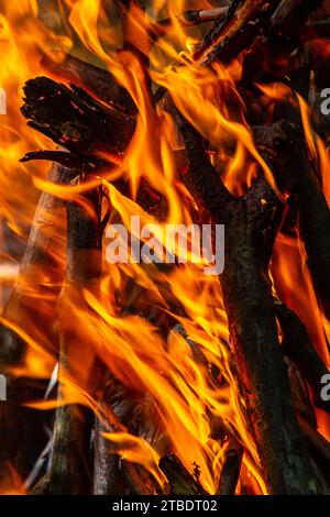 Flamme des Holzkohlefeuers. Herd zum Kochen und Heizen. Gefahr im Wald. Stockfoto