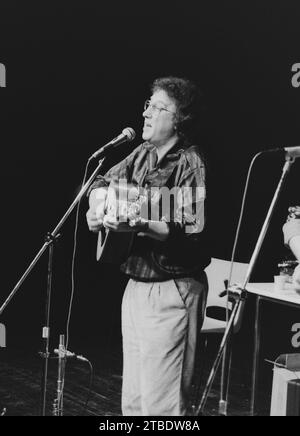 Martin Jenkins spielte mit der britischen Progressive Folk-Gruppe, die im Januar 1987 im Merlin Theatre in Frome (Somerset) auftrat. Stockfoto