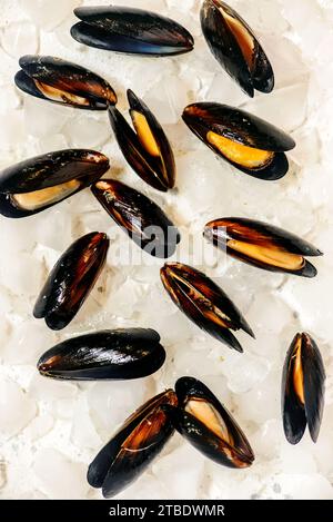 Frische, rohe Muscheln in Muscheln auf Eis. Blick von oben. Rustikaler Stil. Selektiver Fokus Stockfoto