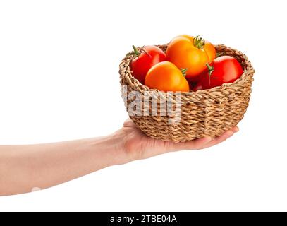 Orangenroter Tomatenmischkorb im Handweg isoliert auf weiß Stockfoto