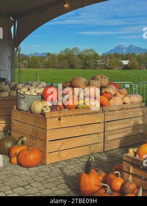 Eine Auswahl an frisch geerntetem Obst und Gemüse ist ordentlich in Holzkisten angeordnet und außerhalb eines Gebäudes ausgestellt Stockfoto