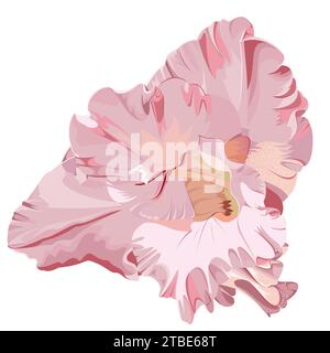 Isoliertes Bild einer rosa Gladiolusblüte auf weißem Hintergrund Stock Vektor