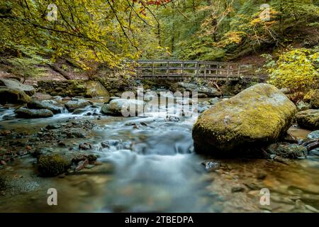 Brücke über Stockghyll in der Nähe von Ambleside im Lake District Stockfoto