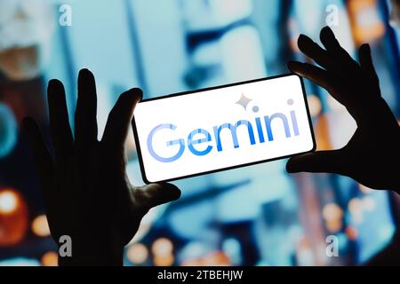 Brasilien. Dezember 2023. In dieser Abbildung wird das Google Gemini-Logo auf einem Smartphone-Bildschirm angezeigt. Das Tool wurde von Google als neues multimodales Modell der künstlichen Intelligenz (KI) eingeführt. (Credit Image: © Rafael Henrique/SOPA Images via ZUMA Press Wire) NUR REDAKTIONELLE VERWENDUNG! Nicht für kommerzielle ZWECKE! Stockfoto