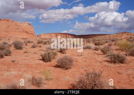 Foto von Buttes und Canyons im Lake Powell Navajo Tribal Park in Page östlich von Lechee, Arizona USA. Stockfoto