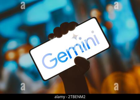 Brasilien. November 2023. In dieser Abbildung wird das Google Gemini-Logo auf einem Smartphone-Bildschirm angezeigt. Das Tool wurde von Google als neues multimodales Modell der künstlichen Intelligenz (KI) eingeführt. (Credit Image: © Rafael Henrique/SOPA Images via ZUMA Press Wire) NUR REDAKTIONELLE VERWENDUNG! Nicht für kommerzielle ZWECKE! Stockfoto