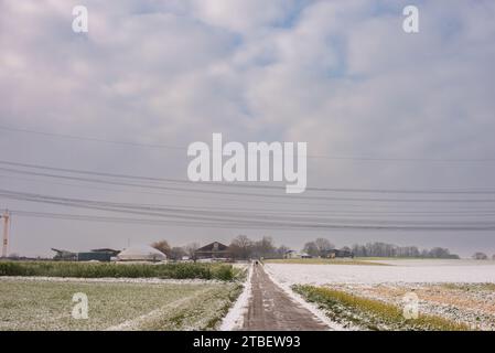 Harmonie der Winterelemente: Schneebedeckte Felder, landschaftlich reizvolle Landstraßen und der festliche Geist der Weihnachten. Wintersinfonie: Schneebedeckte Felder, Ländlich Stockfoto