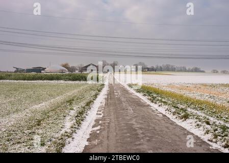 Harmonie der Winterelemente: Schneebedeckte Felder, landschaftlich reizvolle Landstraßen und der festliche Geist der Weihnachten. Wintersinfonie: Schneebedeckte Felder, Ländlich Stockfoto