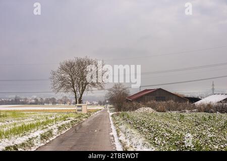 Harmonie der Winterelemente: Schneebedeckte Felder, landschaftlich reizvolle Landstraßen und der festliche Geist der Weihnachten. Wintersinfonie: Schneebedeckte Felder, Ländlich Stockfoto