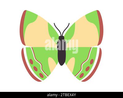 Grüne und braune Farbe Schmetterling wilde Natur Insektentier niedliche schöne mehrfarbige Flügel Stock Vektor