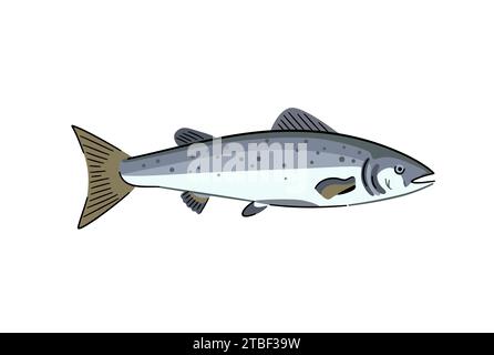 Lachs. Kommerzieller Fisch mit Meeresfrüchten. Isoliertes Konstruktionselement. Vektorabbildung Stock Vektor