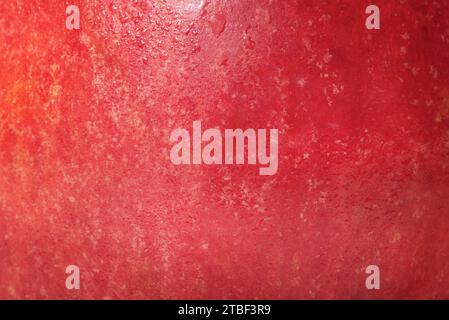 Textur eines roten und gelben Apfels als Hintergrund. Makrofoto eines Apfels. Gesundes Essen, Obst. Stockfoto