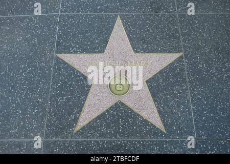 Hollywood, Kalifornien, USA 5. Dezember 2023 Comedian Groucho Marx Hollywood Walk of Fame Star am 5. Dezember 2023 in Hollywood, Kalifornien, USA. Foto: Barry King/Alamy Stock Photo Stockfoto