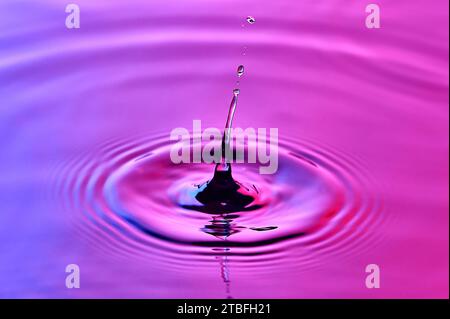 Ein Wassertropfen, der ins Wasser fällt und Wellen erzeugt Stockfoto