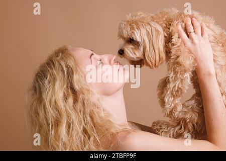 Ein Mädchen hält einen niedlichen Maltipoo-Hund in den Armen nah oben auf einem beigefarbenen Hintergrund, das Konzept der Liebe zu einem Hund Stockfoto