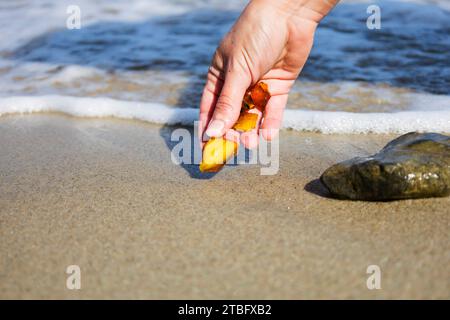 Schöne Stücke von Bernstein in der Hand des Meeres Hintergrund. Ein leuchtendes, welliges Stück Bernstein in der Handfläche. Der Sonnenstein Stockfoto