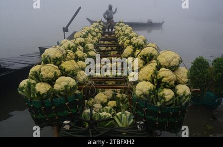 Farbiger Blumenkohl wird in Bangladesch immer beliebter. Die Landwirte kommen immer mehr auf den schwimmenden lokalen Markt, um diesen Blumenkohl anzubauen. Stockfoto