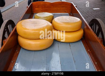 Ganzkäse zum Verkauf auf dem Käsemarkt in Gouda, Niederlande Stockfoto