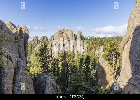 Niedrige Morgensonne über den Bergen rund um den Needles Highway im Custer State Park, South Dakota Stockfoto