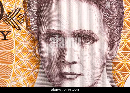 Marie Curie, ein Nahaufnahme-Porträt aus dem alten polnischen Geld - Zloty Stockfoto