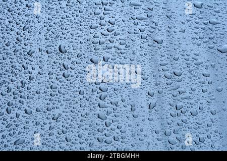 Regentropfen Wasser haften am selektiven Fokus der Karosserie Stockfoto