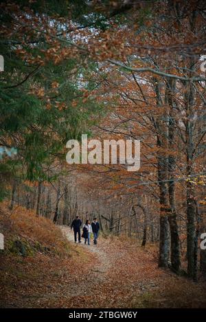 Drei Personen gehen auf einem Waldweg zwischen den Bäumen in Rota das Faias, Manteigas, Serra da Estrela, Portugal, Europa Stockfoto