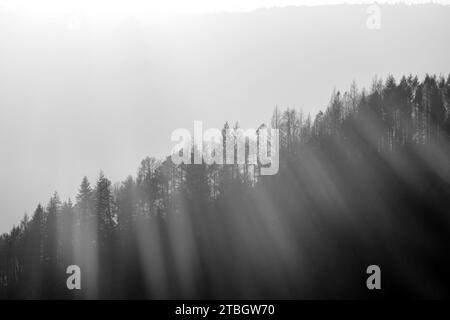 Stimmungsvolles Schwarz-weiß-Landschaftsfoto der Sonne, die durch einen von Bäumen gesäumten Berg scheint Stockfoto