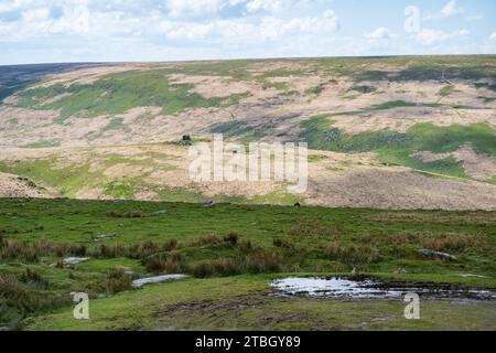 Ein Blick vom Dinger Tor auf das Tal des West Okement River mit markantem Lints Tor im Zentrum. Dartmoor-Nationalpark, Devon, Großbritannien. Stockfoto