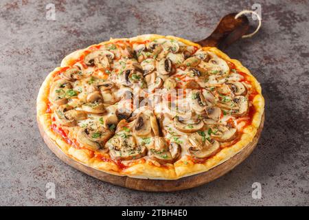 Vegetarische Pilzpizza mit portobello, Mozzarella, Knoblauch, Tomaten und Petersilie in Nahaufnahme auf einem Holzbrett auf dem Tisch. Horizontal Stockfoto