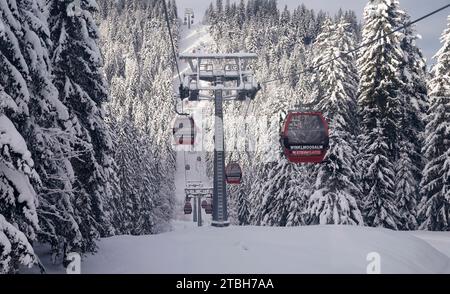 Reit Im Winkl, Deutschland. Dezember 2023. Blick von der Gondelbahn zur Winklmoos-Alm. Das Skigebiet auf rund 1200 Metern beginnt am 09.12.2023. Quelle: Uwe Lein/dpa/Alamy Live News Stockfoto