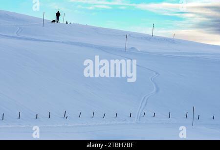 Reit Im Winkl, Deutschland. Dezember 2023. Ein Mann mit Hund geht einen einsamen Weg auf der Winklmoos-Alm hinauf. Das Skigebiet auf rund 1200 Metern beginnt am 09.12.2023. Quelle: Uwe Lein/dpa/Alamy Live News Stockfoto