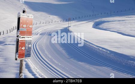 Reit Im Winkl, Deutschland. Dezember 2023. Blick auf eine frisch präparierte Langlaufloipe auf der Winklmoos-Alm. Das Skigebiet auf rund 1200 Metern beginnt am 09.12.2023. Quelle: Uwe Lein/dpa/Alamy Live News Stockfoto