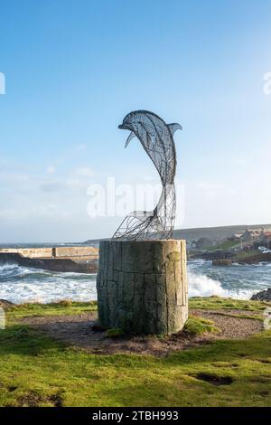 Dolphin-Drahtskulptur in Portsoy von Carn Standing. Aberdeenshire, Schottland Stockfoto