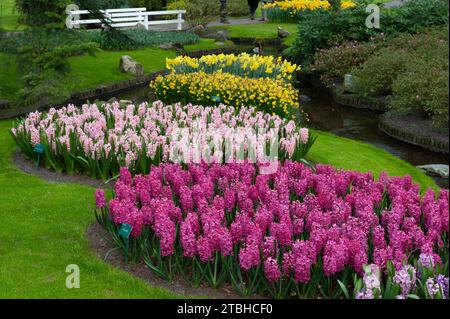 Ein Abschnitt der farbenfrohen und makellos gestalteten Tulpen-, Hyazinthen- und Blumengärten Keukenhof in Lisse, Niederlande. Stockfoto