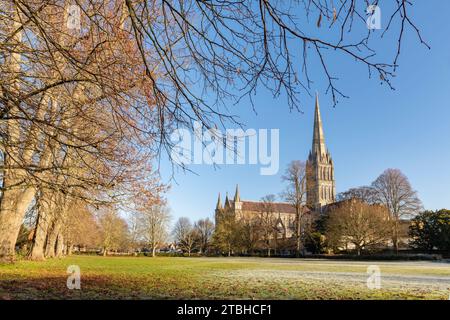 Salisbury Cathedral an einem Wintermorgen, Wiltshire, England. Winter (Februar) 2023. Stockfoto
