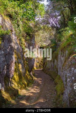 Cerveteri (Italien) - Cerveteri ist neben Rom eine der wichtigsten etruskischen Städte mit archäologischer Nekropole namens Banditaccia, Via degli Inferi Stockfoto