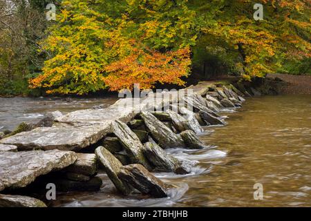 Herbstliches Laub oberhalb der Tarr Steps Clapper Bridge über den River Barle im Exmoor National Park, Somerset, England. Herbst (Oktober) 2023. Stockfoto