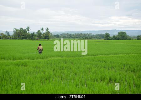 Aceh, Indonesien - Dezember 2023: Aktivitäten am Vormittag im Dorf Montasik Stockfoto