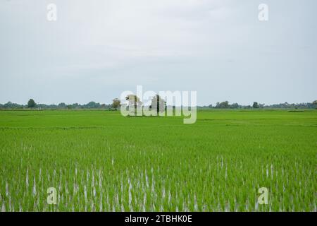 Aceh, Indonesien - Dezember 2023: Aktivitäten am Vormittag im Dorf Montasik Stockfoto