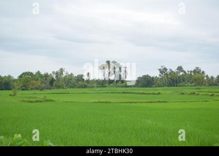 Aceh, Indonesien - Dezember 2023: Aktivitäten am Vormittag im Dorf Montasik Stockfoto